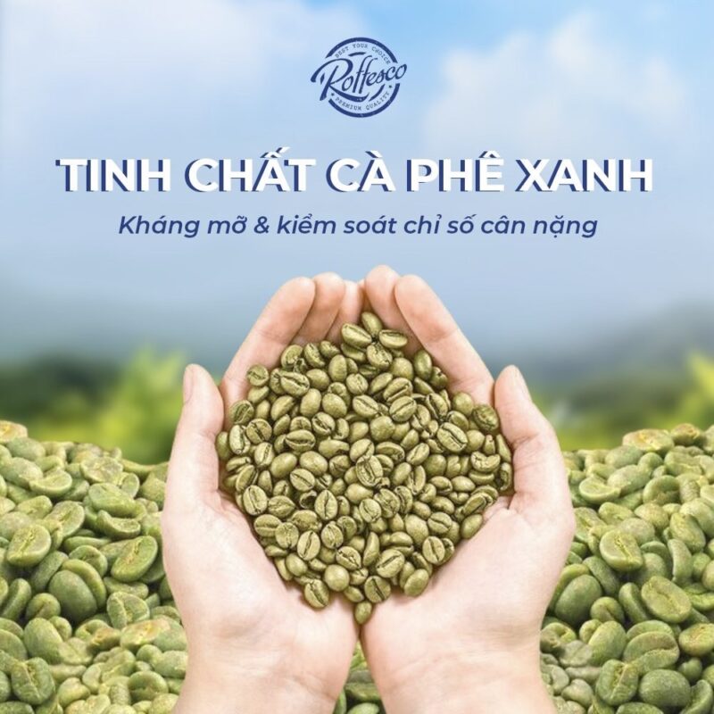 Giỏ hàng